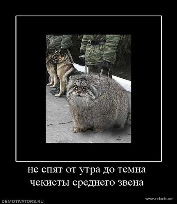 Картинки не спать косить
