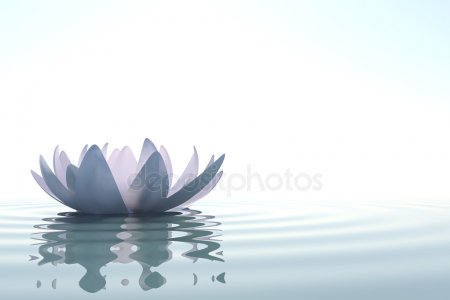 depositphotos_19416303-stock-photo-zen-flower-loto-in-water.jpg