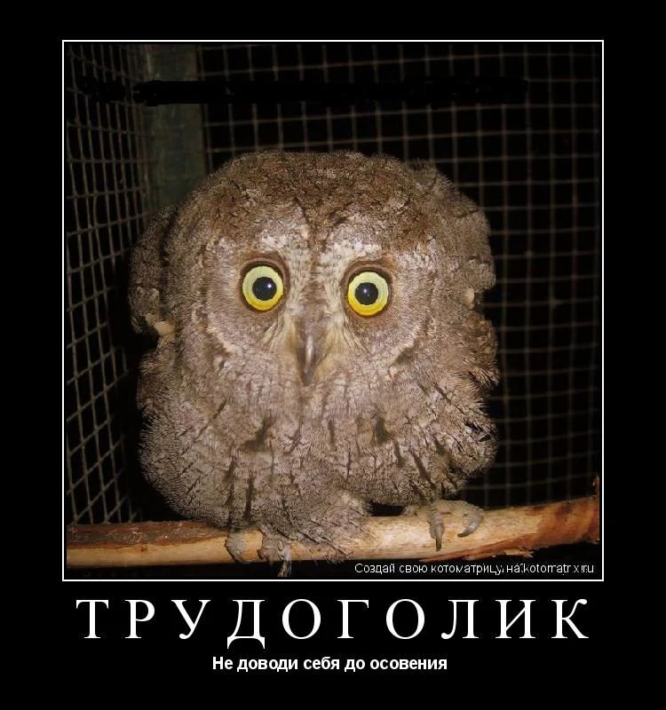 devochka-trudogolik-jpg.274234