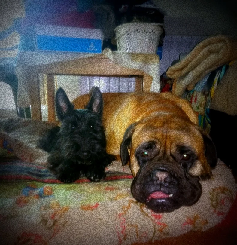 dh73nlxfi20-jpg.1068705