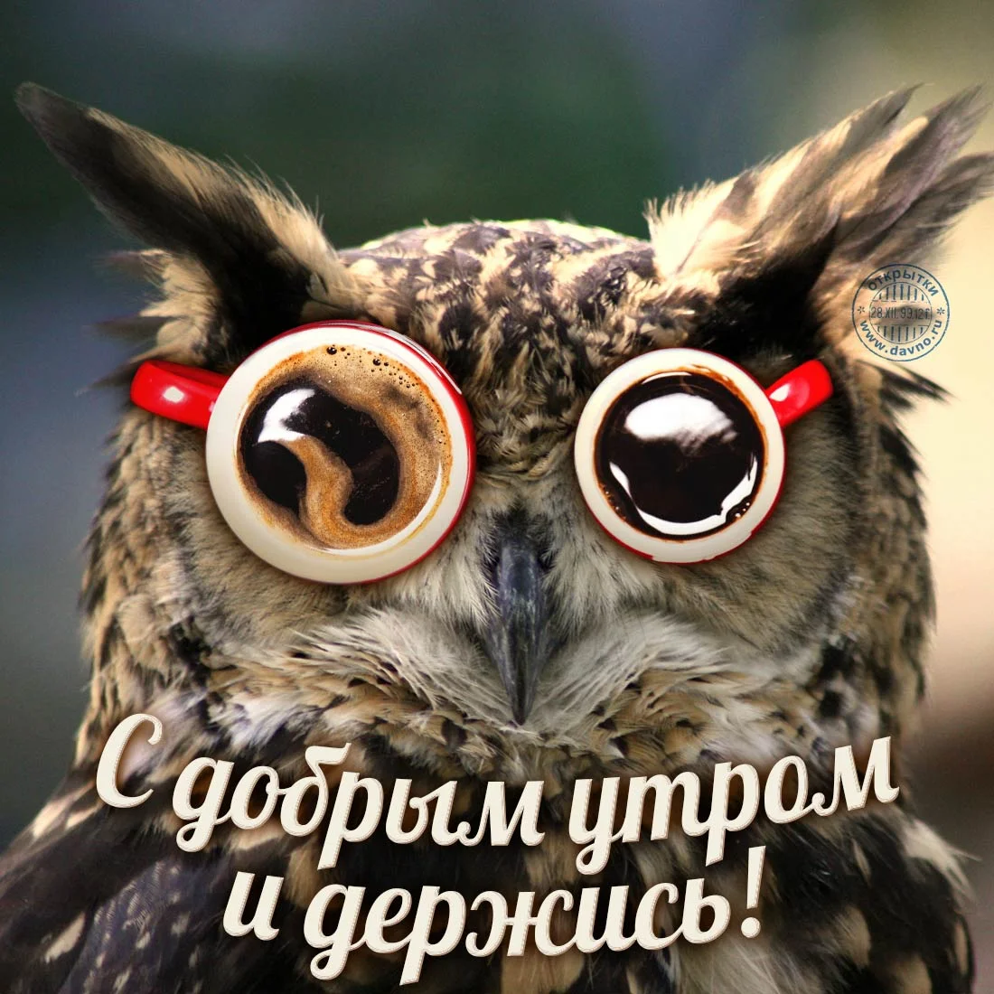 dobroe-utro-113-jpg.355402