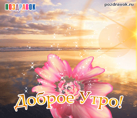 С добрым утром женечка картинки