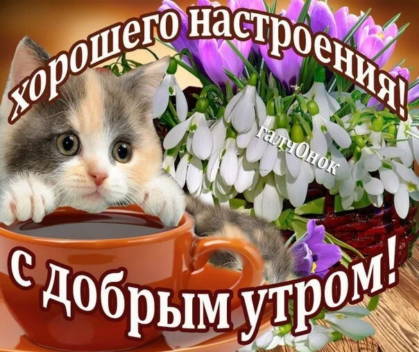Картинки с добрым утром ленусик
