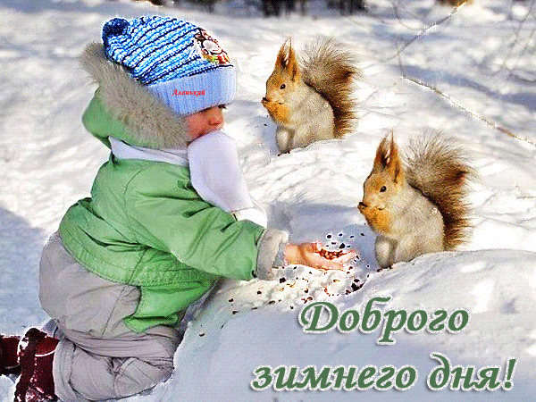 Доброго-зимнего-дня!_1784316.gif