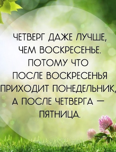 dobrogoutra_ru_559.jpg