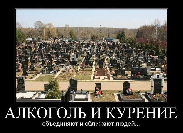 dqnttgjsfrw-jpg.374689