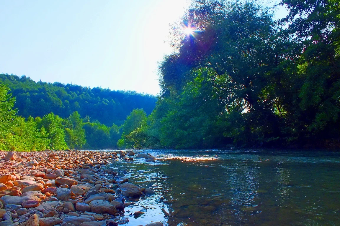 dscf1547-jpg.668184