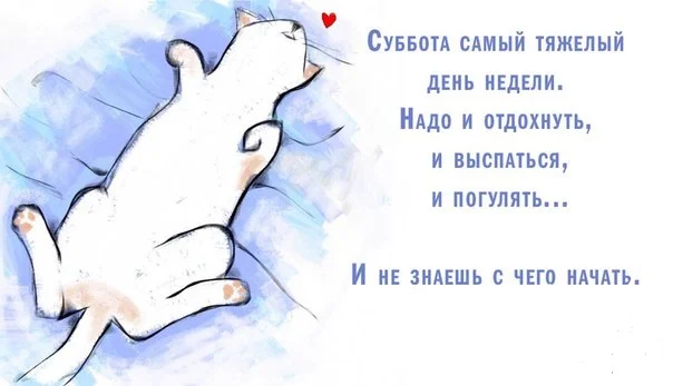 Сложный день
