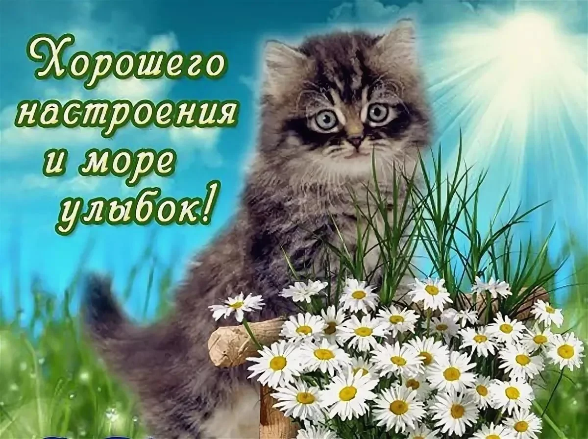 Море улыбок