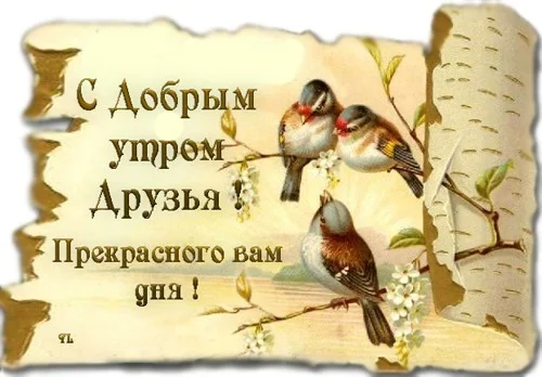 e559b8d8acfc-jpg.416564