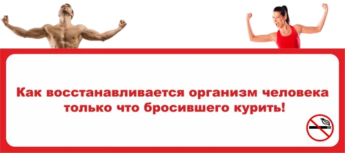 ea491e65-eca5-4189-8a3f-fe442-png.319724