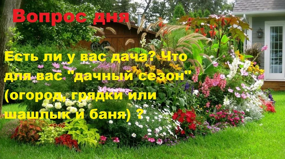 efdf12d6b03fdfe489139b27fca94101-ime47iwc-ipad-jpg.613719