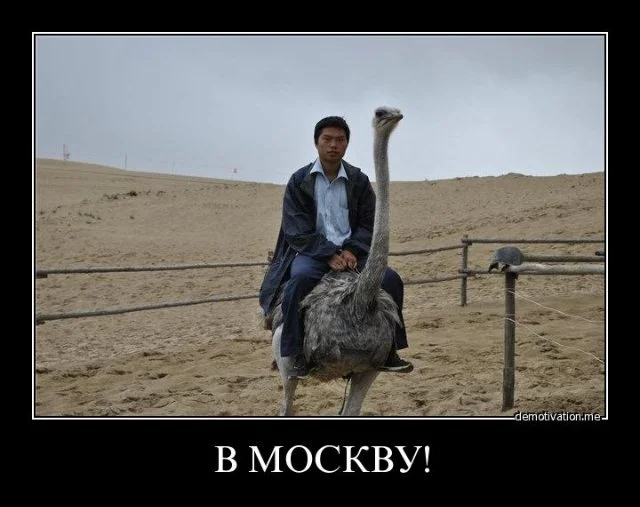 Хочу в москву