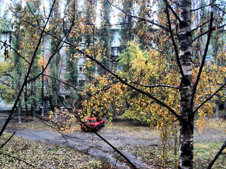 f_18723913-jpg.248444