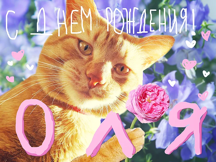 С днем рождения оля открытки