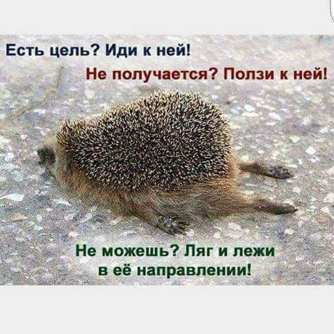 fb_img_1491745201955-jpg.372924