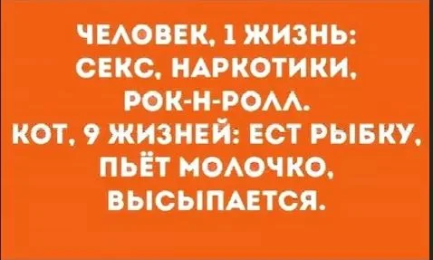fb_img_1526949658139-jpg.645143