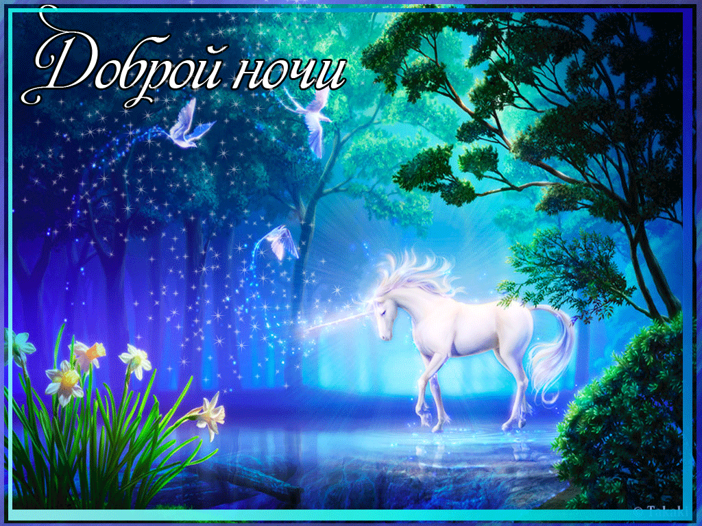 Волшебных снов картинки красивые очень