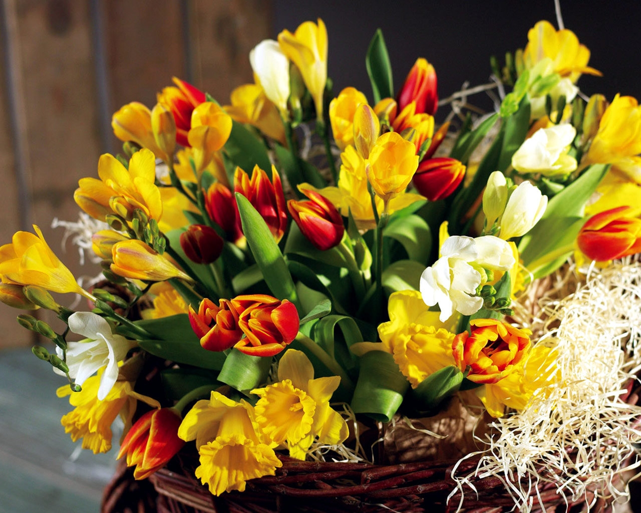 flowers-tulips-yellow-spring-shopping-daffodils-flower-plant-tulip-flora-chic-land-plant-flowe...jpg
