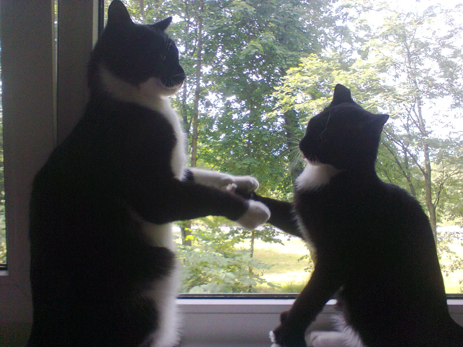 foto0112-jpg.1068951