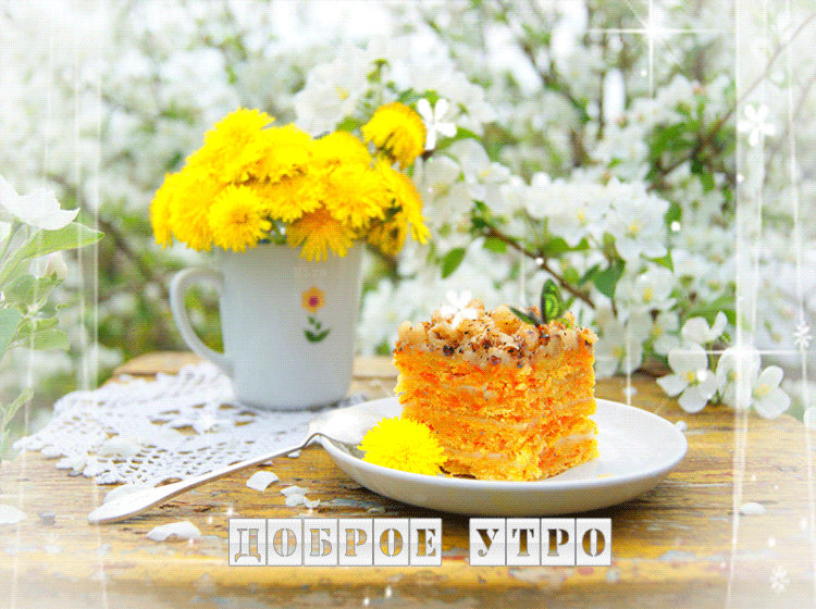 http://ne-kurim.ru/forum/attachments/gif_big_2367-gif.233826/
