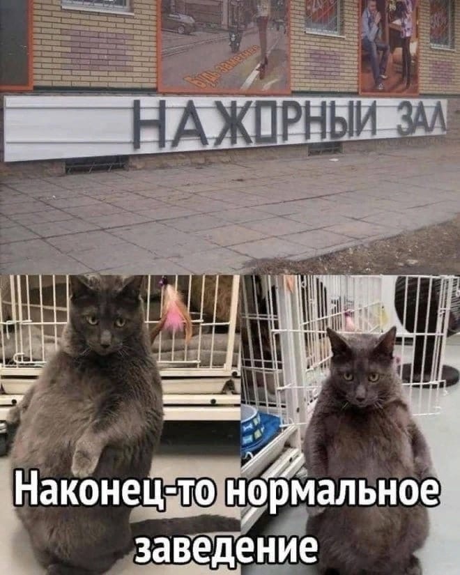 gkqewgpfgn0-jpg.1745264