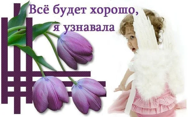 gl02-jpg.215235