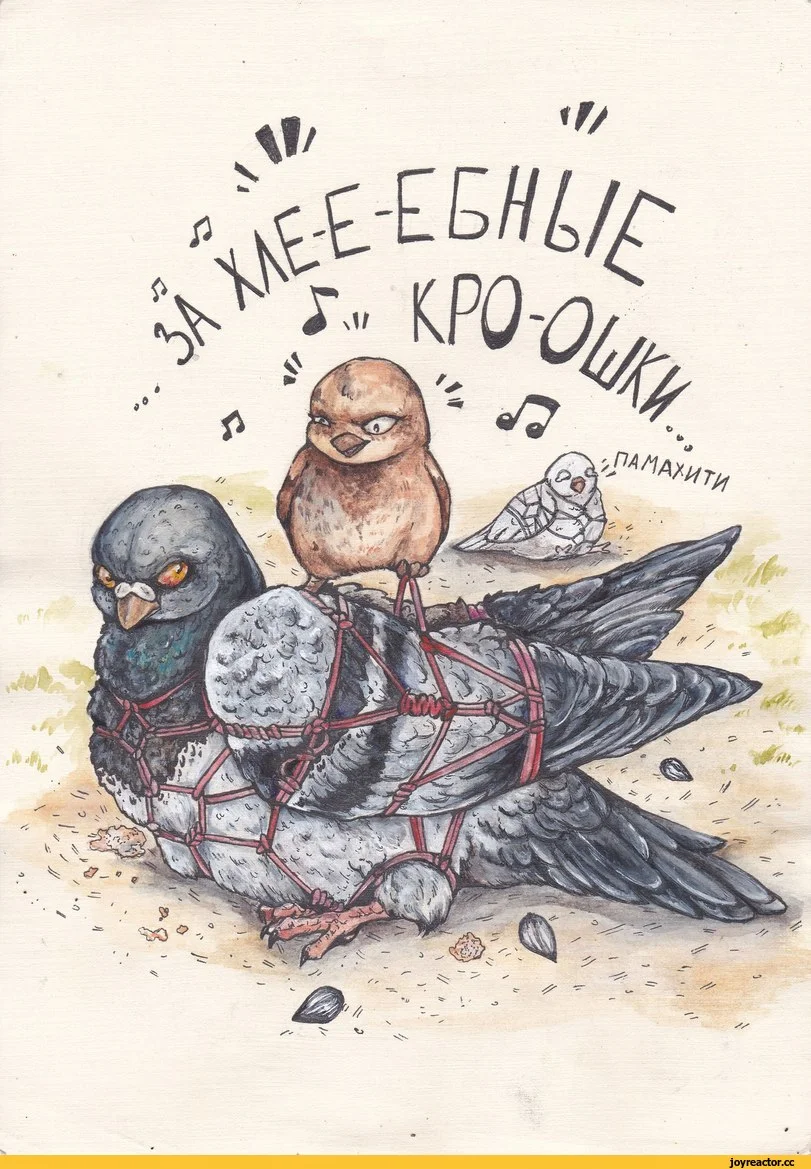 Смешные рисунки с голубями