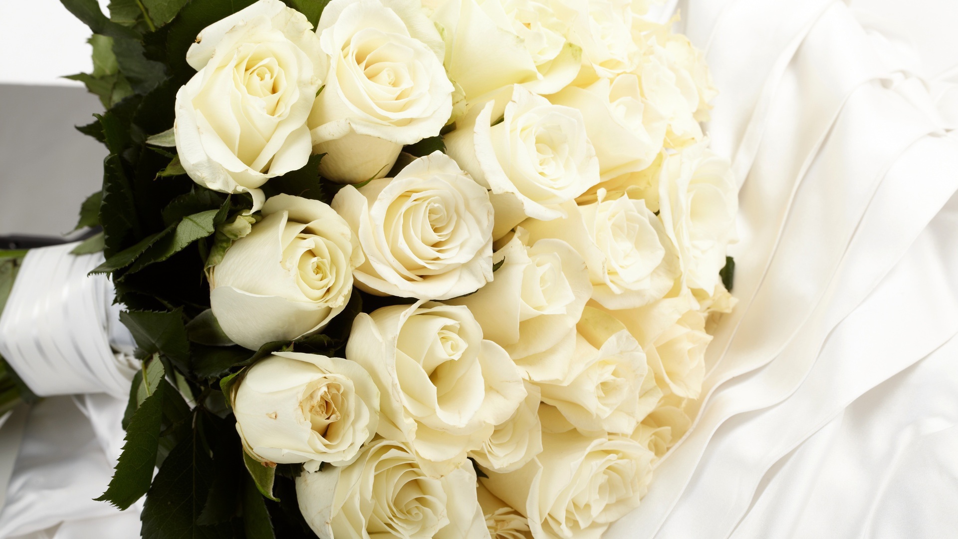 Holidays___Weddings_White_roses_in_a_bouquet_for_the_bride_056313_23.jpg