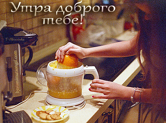 кухня иллюстрация. пейте чай и оставайтесь дома. домашний уют одно из сокровищ мира красивые картинки. коты иллюстрации. пейте чай и оставайтесь дома.