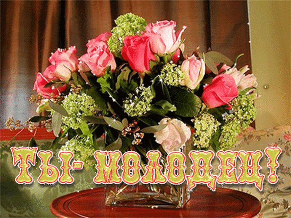 i_2hqqku2kfq8gqrf-gif.618440