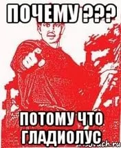 Картинка потому что
