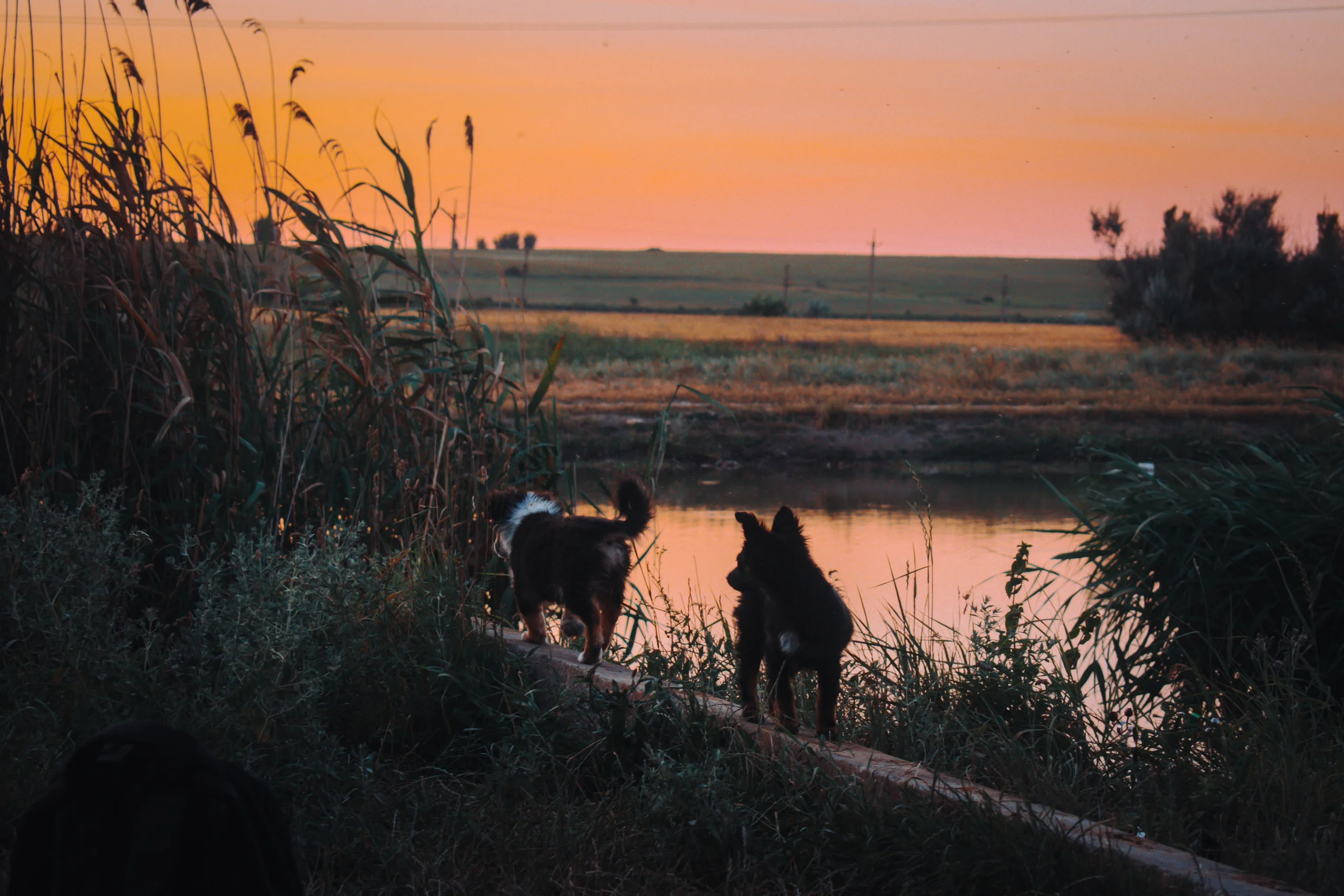 iggaehqxwya-jpg.1887194