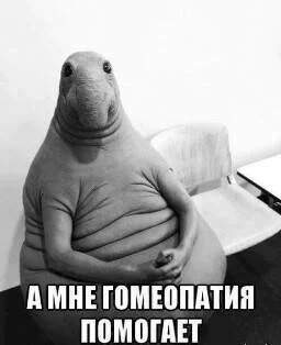 image-0-02-05-766d974e8e75a06d189a7eb55c92c8f73c8af420c65b9e067d2d20b72bd84dee-v-jpg.324794