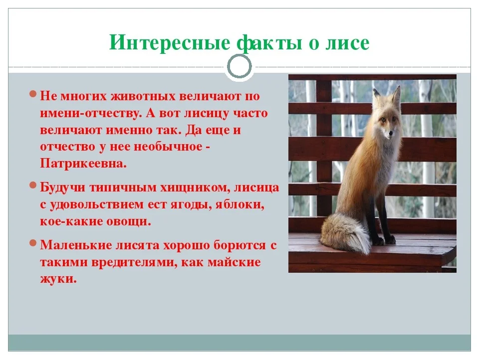 Основная мысль текста в истории футбола существует немало интересных и забавных фактов план