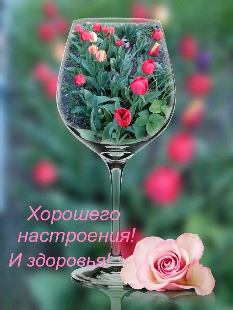 Доброго здравия картинки