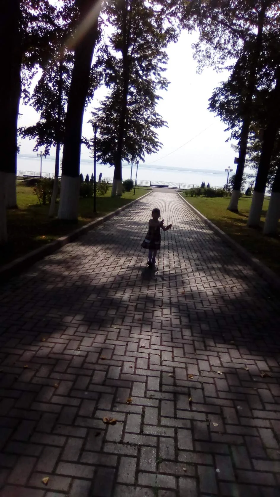 image-15-jpg.477064