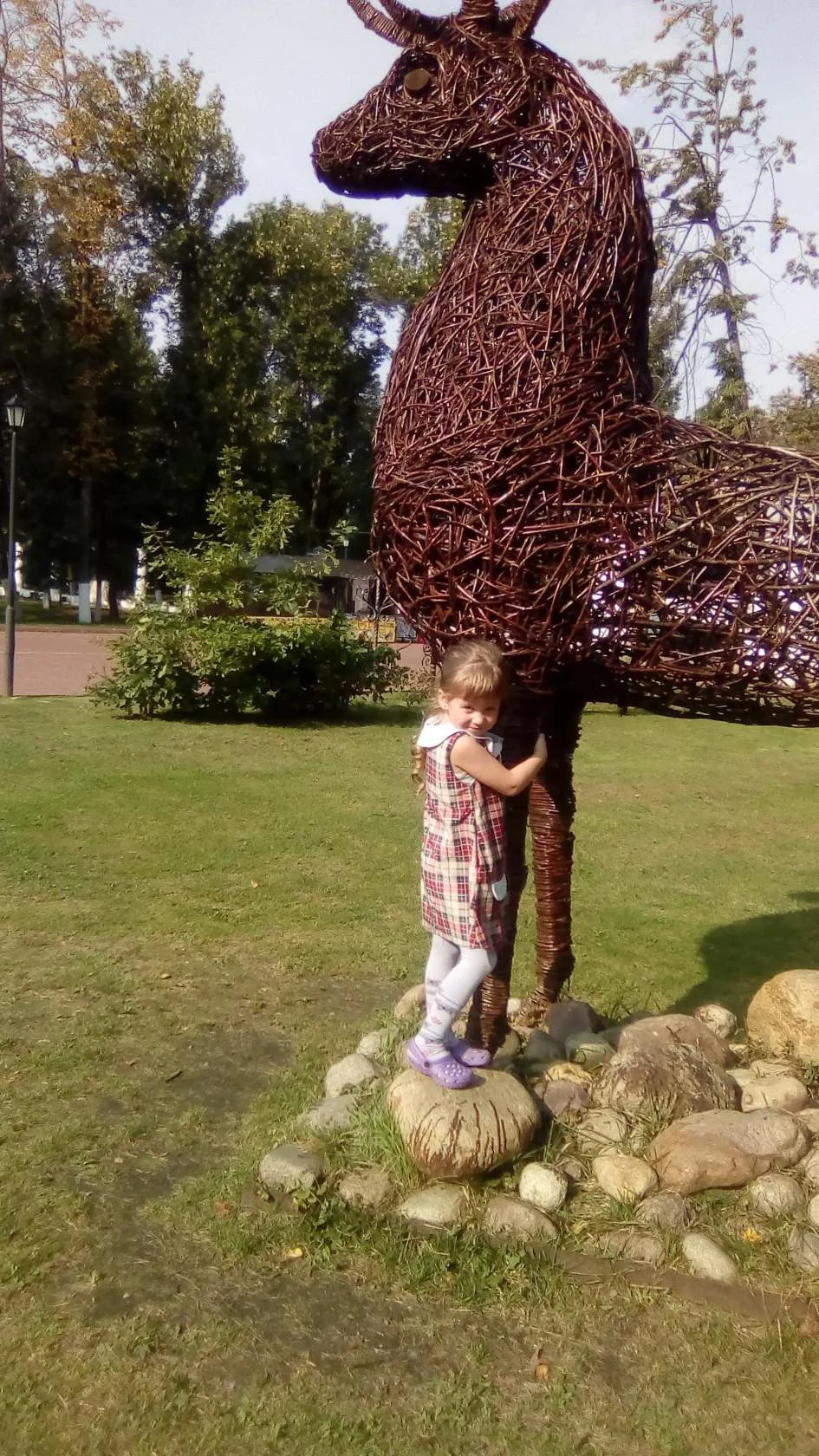 image-7-jpg.477060