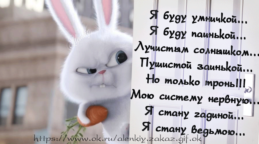 Злой заяц картинки с надписями