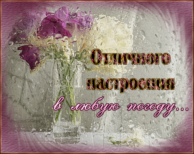 Хорошего дня в дождливую погоду картинки и отличного настроения