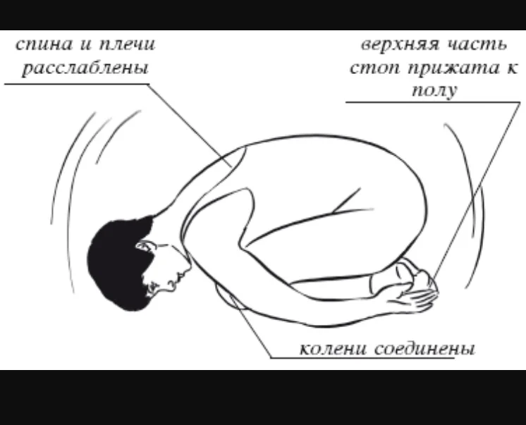 Поза эмбриона рисунок
