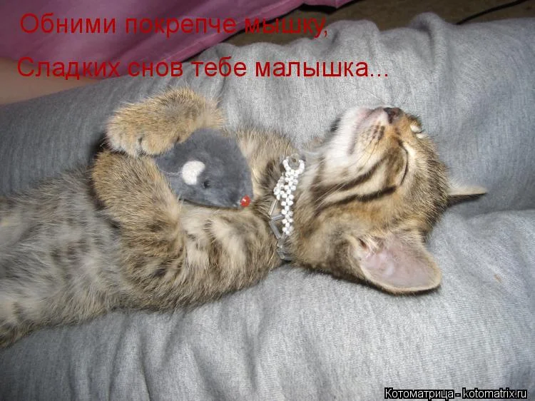 Групповушечка сладенькой крошки