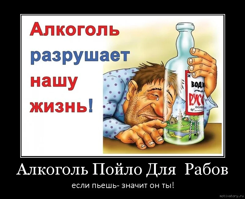 Много не пей и мало тоже приколы картинки