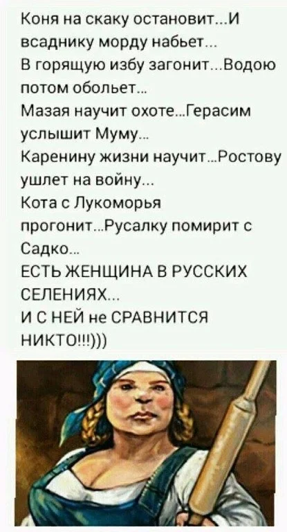 Коня на скаку остановит в горящую избу войдет картинки смешные