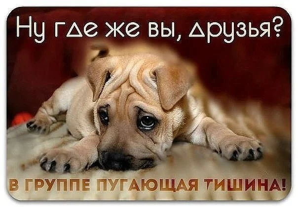 �������� ���, ������ ������ ��������