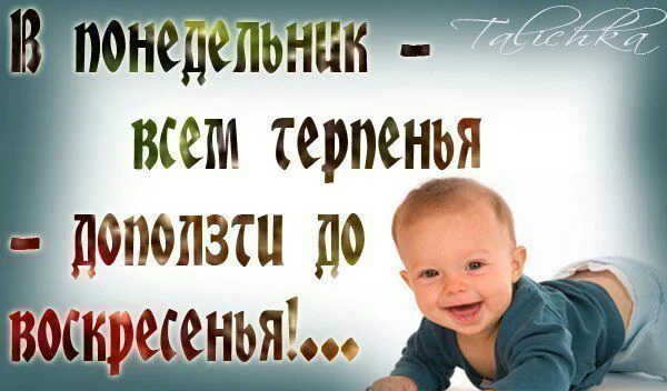 img-20171009-wa0001-jpg.499867