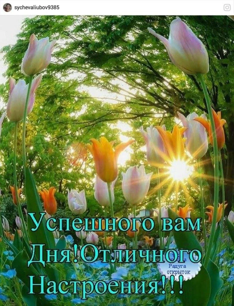 Радуга открыток доброе. Радуга открыток. Радуга открыток доброе утро. Радуга открыток с добрым утром. Радуга открыток красивые яркие добрые