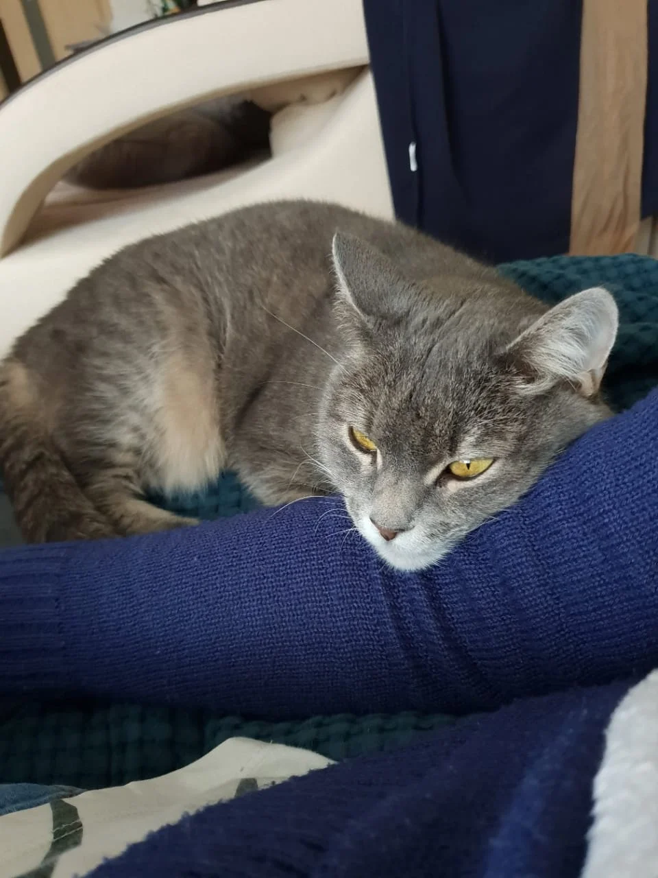 img-20200122-wa0002-jpg.1104983