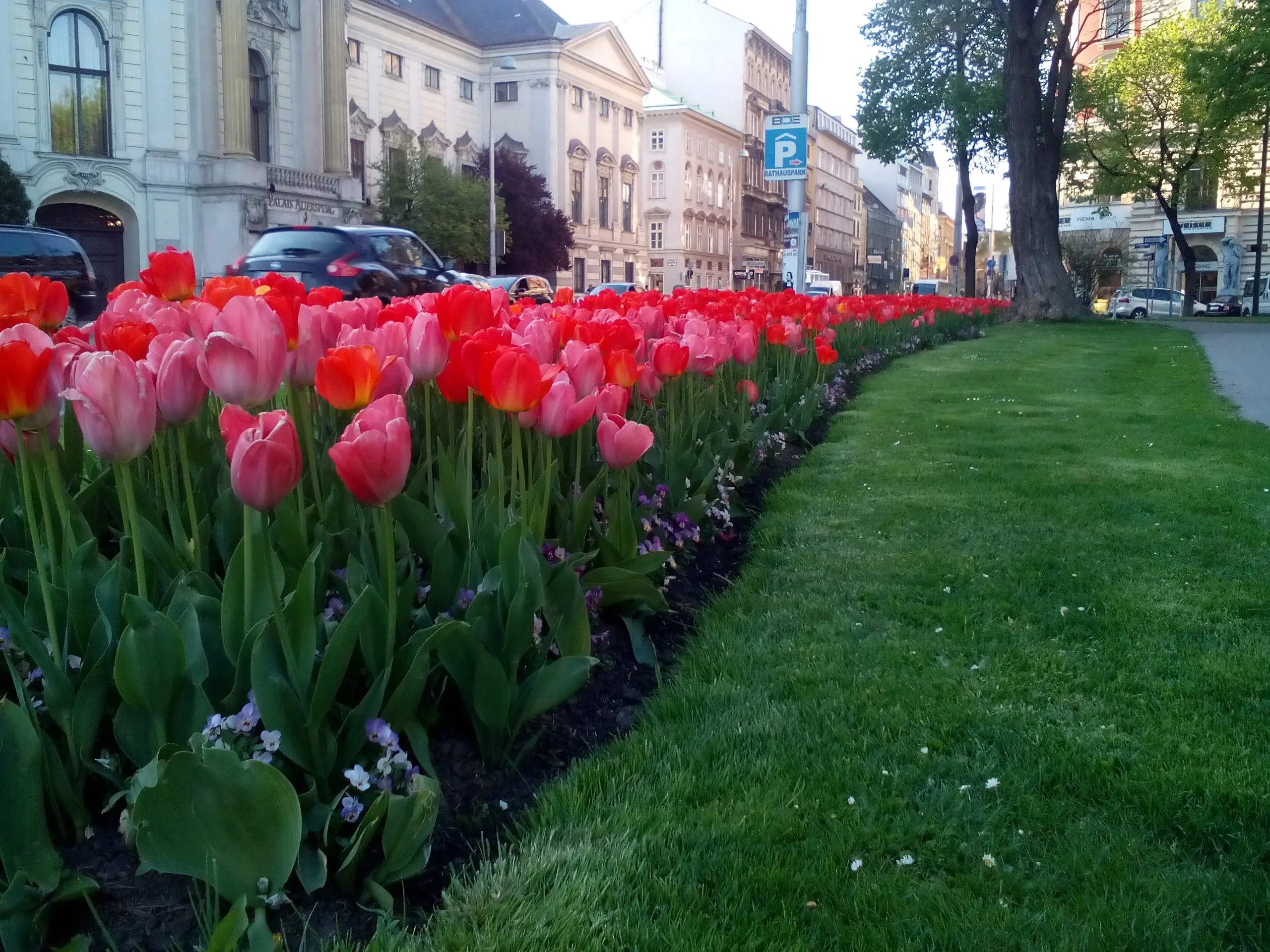 img_20160421_175652-jpg.175495