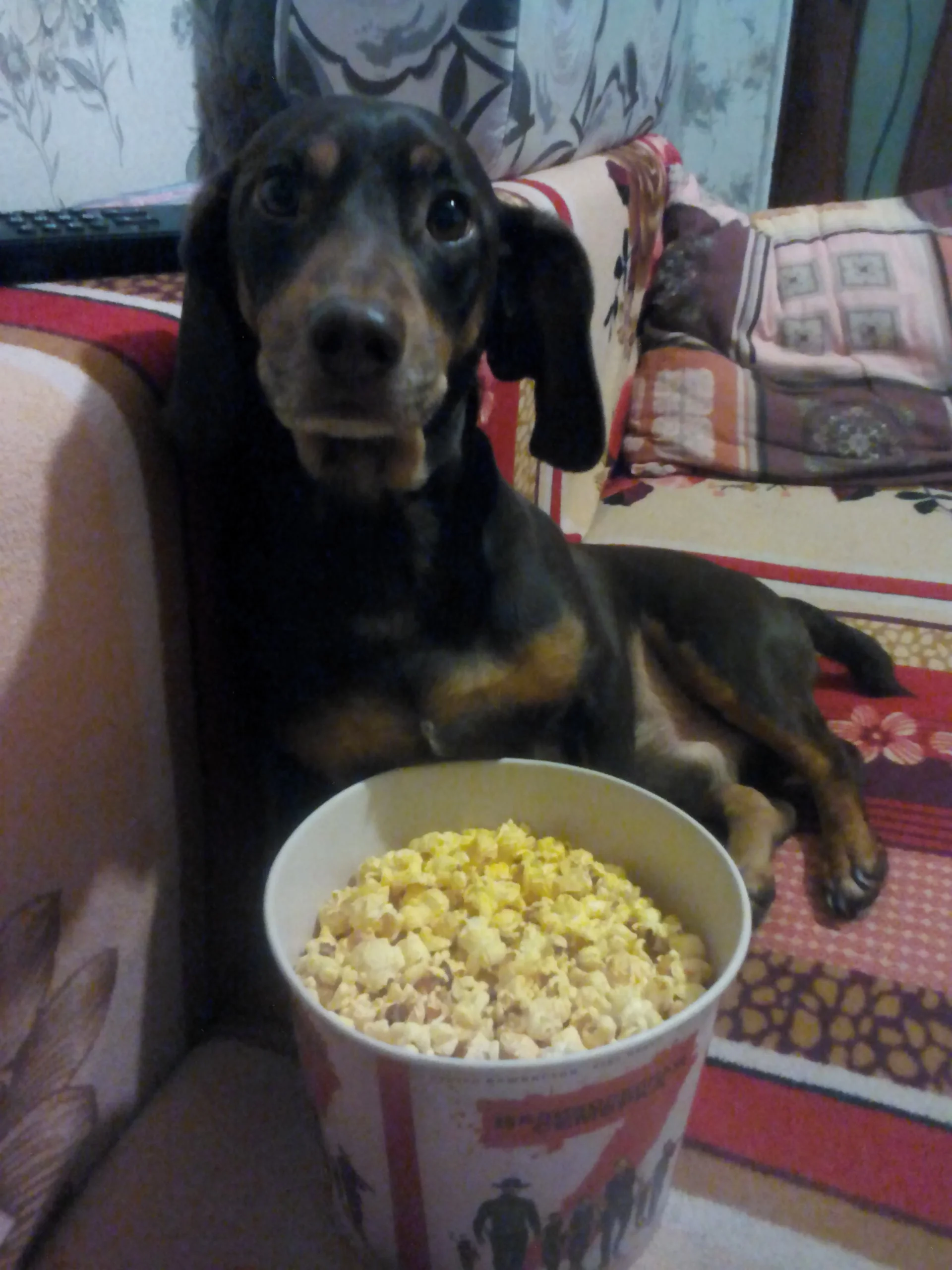 img_20170206_185520-jpg.1067948